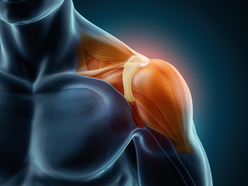 10 Proven Tips for Stronger Rear Delts: Common Mistakes and Expert Advice